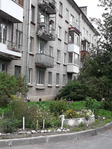 Колпино С-Пб - продажа квартиры в Санкт-Петербурге фото 13