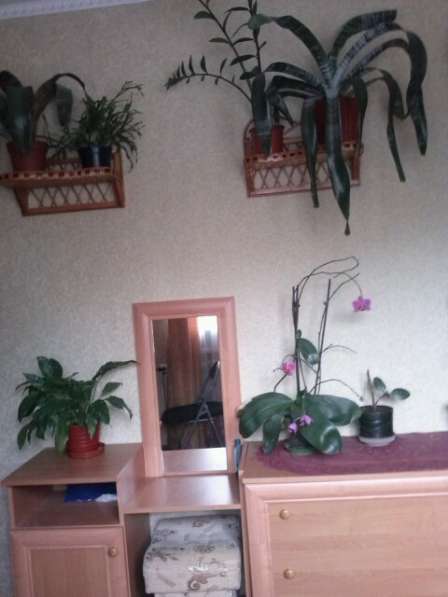 Сдам 2-х комнатную квартиру на лето в Феодосии фото 16