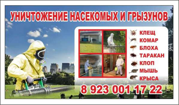 Дезинфекция, дезинсекция, дератация помещений от насекомых в Барнауле