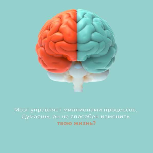 Бесплатный вебинар Мозг - суперсила в Москве фото 33