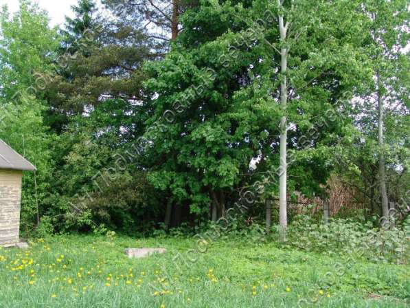 realty_mapper3.plot_in_locationСадовое некоммерческое тов-во. Площадь 10.00 сот.Есть Газ. в Москве фото 10