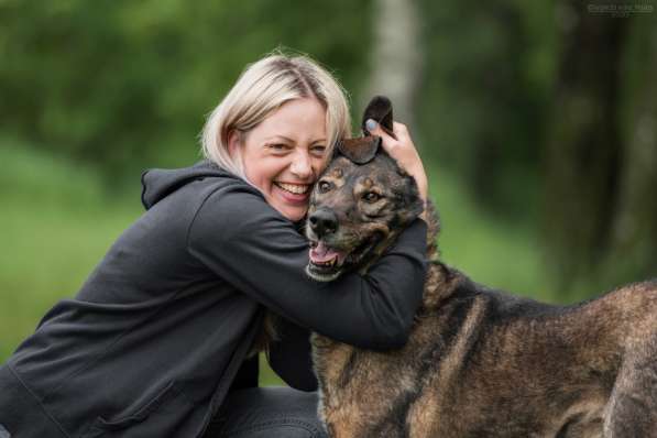 Надёжный Друг Курт ищет семью в Москве фото 17