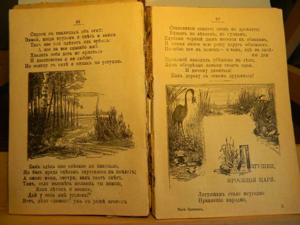 Книга. Басни Крылова, полное собрание, издание седьмое,1913г в фото 6