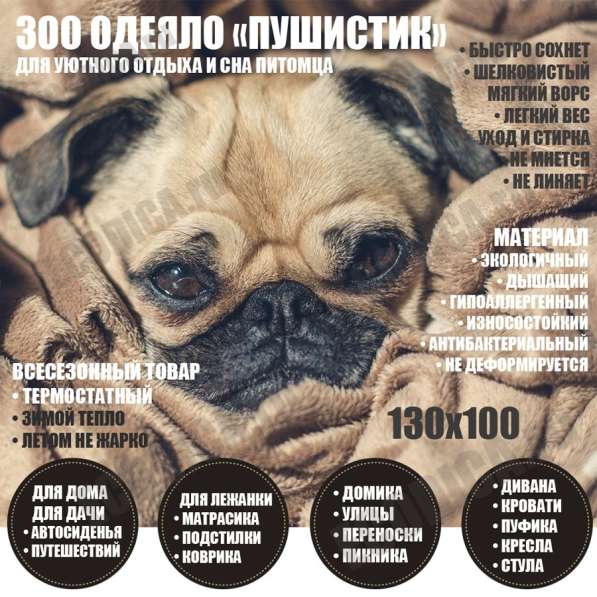 ЭКО ЗООтовары для животных в Москве фото 3