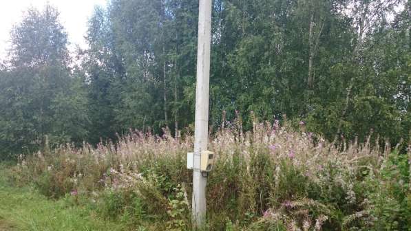 Продажа участка земли в СНТ собственником в Дмитрове фото 11