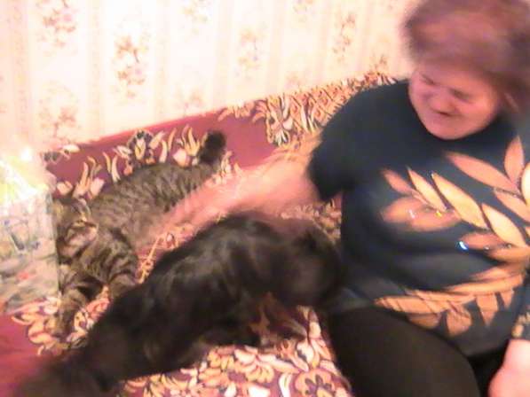 Пропала собака в фото 5