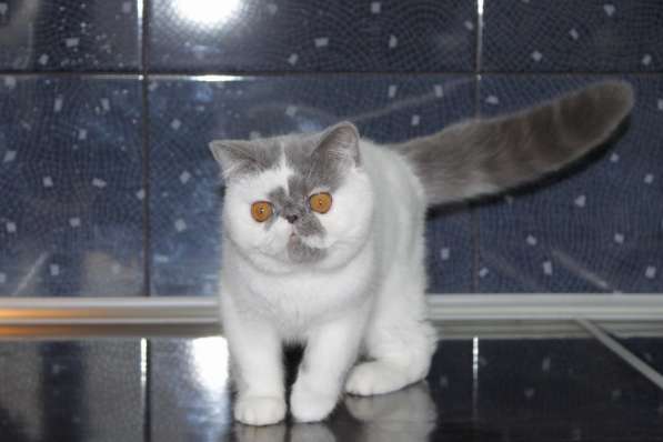 ТОПАЗ в Москве фото 9