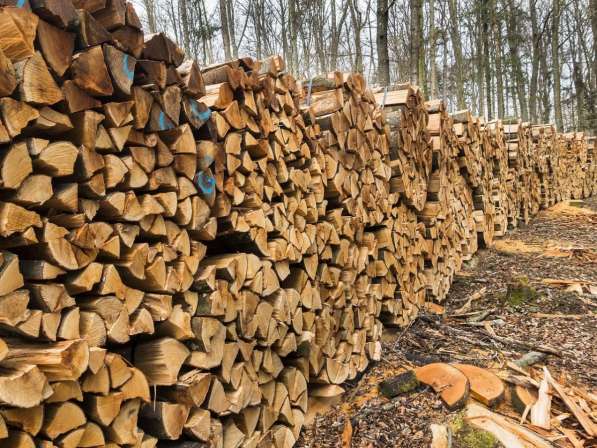 Березовые дрова колотые, в чурках в фото 8