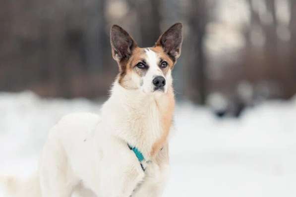 Тунис в поисках любящей семьи в Москве фото 29
