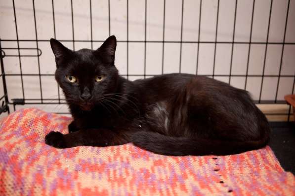 Добросердечный Мартин в ожидании счастья в Москве фото 4