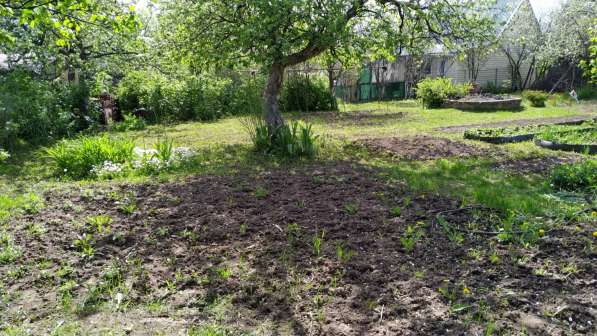 Продам дачу в Ижевске в Ижевске фото 28