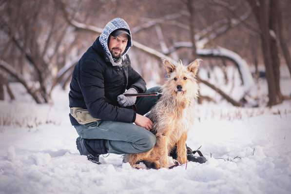 Трогательный Чарлик ищет дом в Москве фото 17