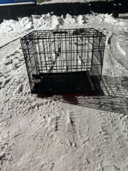 Клетка переноска в Мурманске