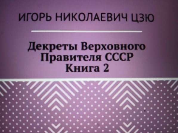 Игорь Цзю: "Восьмое Обращение Верховного Правителя СССР" в Нижнем Новгороде фото 4