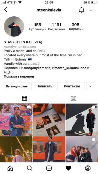 Американский стаффордширский терьер в Москве фото 41