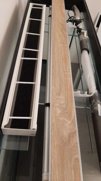 Аквариум в Санкт-Петербурге фото 4