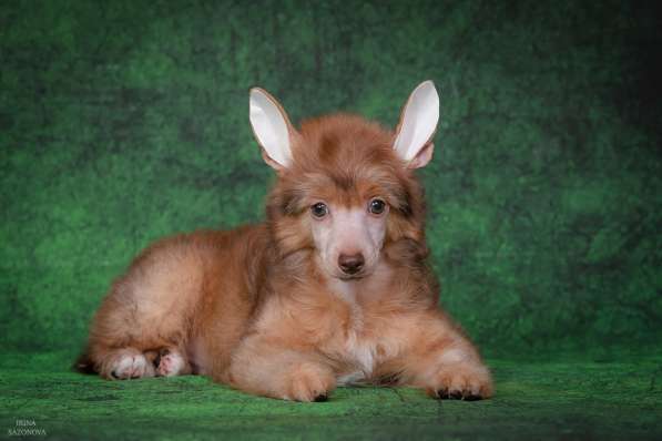 КХС в Москве фото 19