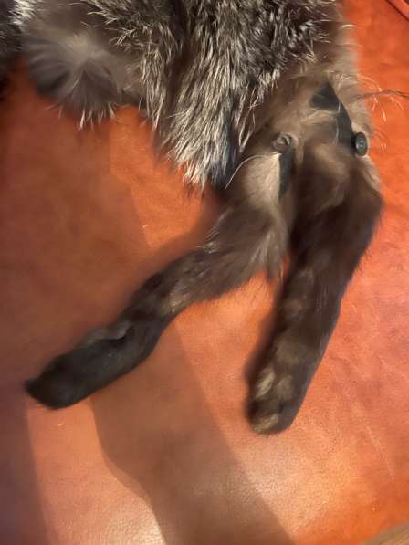 Шапки чернобурка в Чебоксарах фото 3