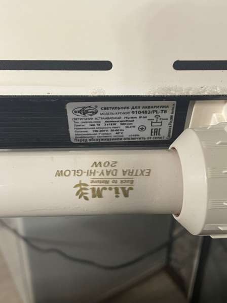 Аквариум в Южно-Сахалинске фото 6