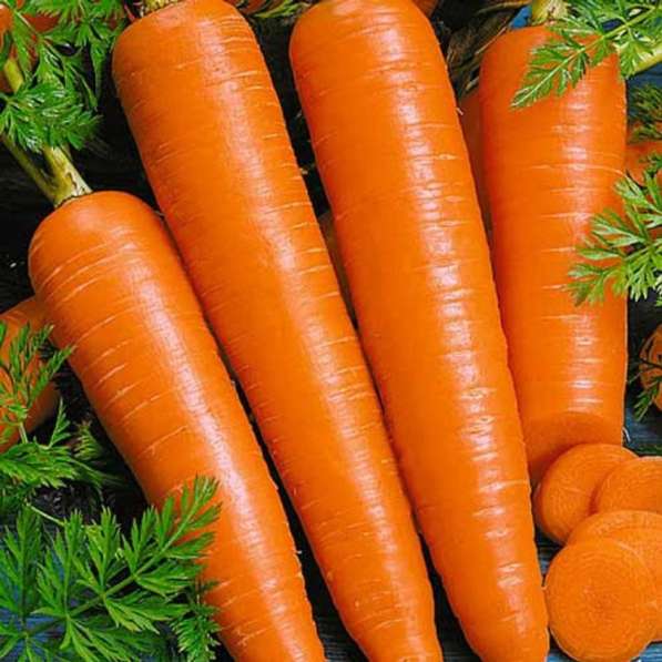 Продаю картофель морковь