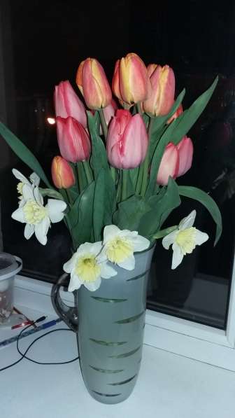 Тюльпаны цветы к празднику нарциссы в Ростове-на-Дону фото 5