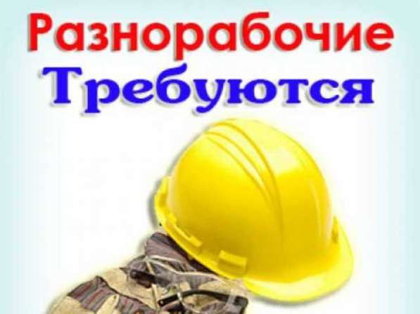 Требуется разнорабочий (м. Василеостровская)