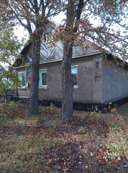 Продам дом в с. Фащёвка Липецкой области в Липецке фото 5