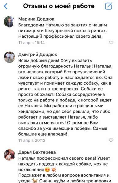 Подготовка к выставкам Дрессировка в Екатеринбурге фото 5