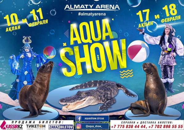 Впервые в Алматы AQUA-show в фото 5