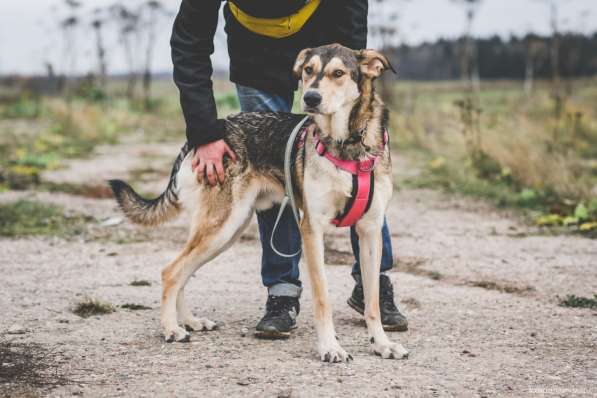 Нежнющий Купер в Москве фото 29