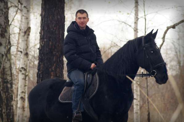 Лесные фотосессии с лошадьми и пони в Екатеринбурге фото 9