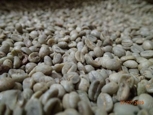 Кофе зеленый в зернах АРАБИКА 100% с доставкой по РФ в Нижнем Новгороде