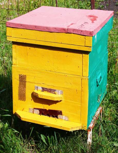 Улья с пчелами и для пчел