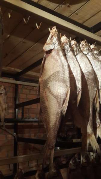 Рыбный цех г. Шахты реализует вяленую рыбу оптои и в розницу в Шахтах фото 5