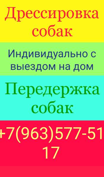 Дрессировка передержка собак