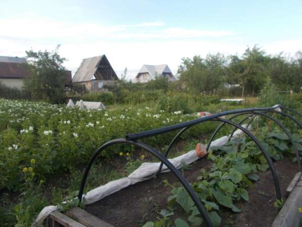 Продам сад с баней в Челябинске фото 18