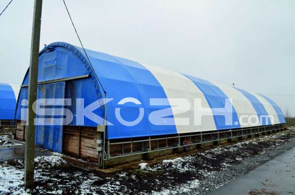 Свинарник в Воронеже