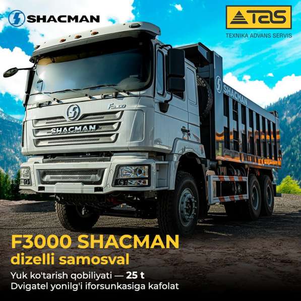 SHACMAN dan 25 tonna F3000 в 