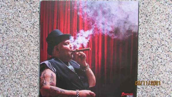 LP POPA CHUBBY- Universal Breakdown Blues в Ухте фото 4