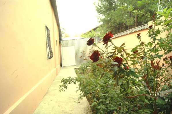 продается дом в Ташкенте ,участок 5 соток,ориентир Аквапарк в фото 7