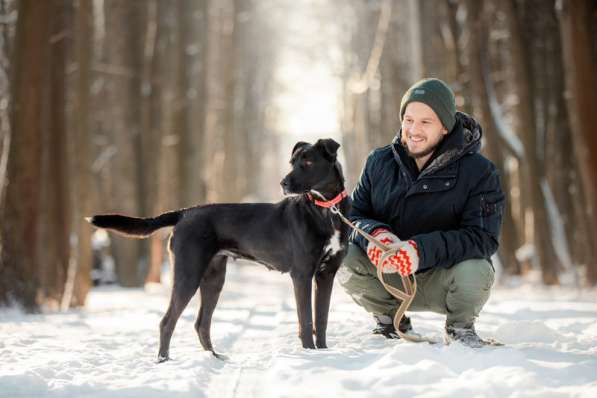 Черная собака Берта в добрые руки в Москве фото 6