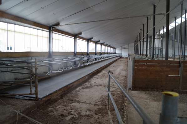 Молочная ферма с оборудованием в Смоленске фото 3