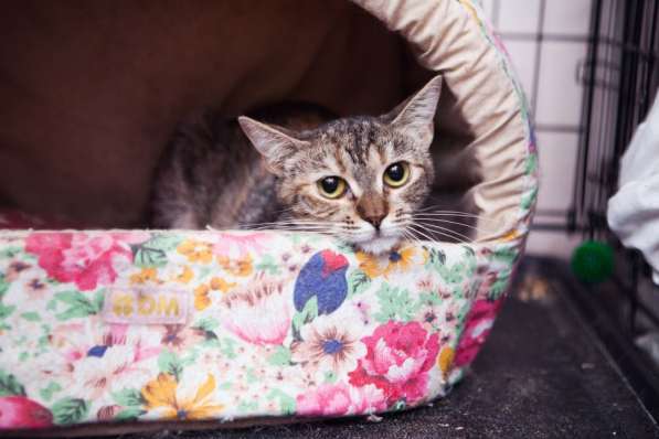 Разборчивая Эрика настроена на блестящее будущее в Москве фото 4