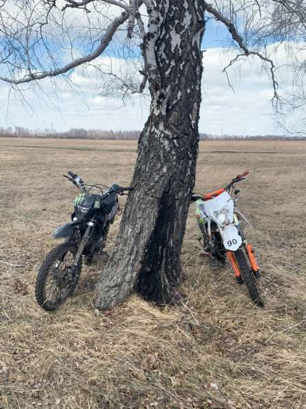 Питбайк Regulmoto Seven Medalist в Новосибирске