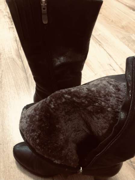 Сапоги зимние женские в Видном фото 4