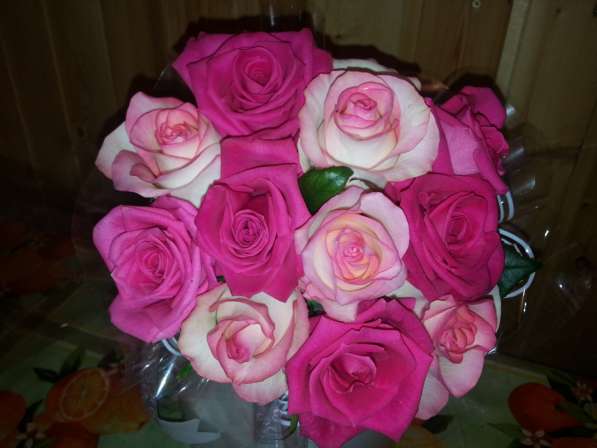 Розы с грядки в Самаре фото 4