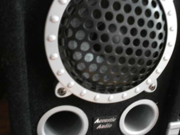 Колонки Acoustik Audio GX-350 в фото 7