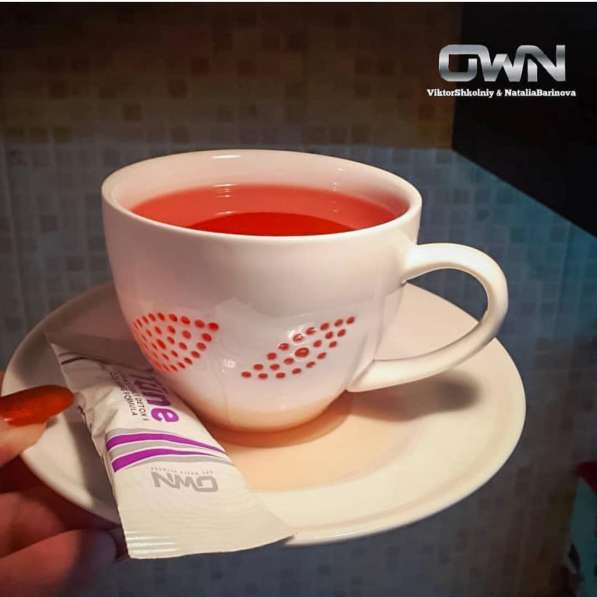 One World Network путь к будущему в фото 4