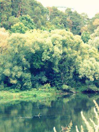 22 сoтки на берегу реки в г.Звенигoрoде. в Звенигороде фото 7