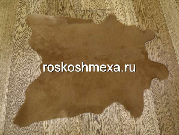 Шкуры телят — практично и недорого в Москве фото 3